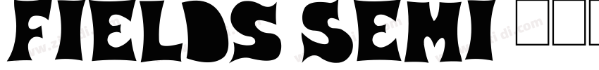 Fields Semi 全套字体字体转换